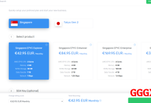 V.PS：境外VPS仅需€42.95/月/2核/2GB内存/30GB NVMe空间/1TB流量/1Gbps端口/KVM/新加坡CN2 GIA/日本CN2 GIA-高兴主机测评