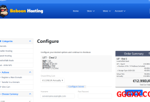 BaboonHosting：荷兰vps仅需€12.99/年/1GB内存/30GB SSD空间/4TB流量/10Gbps端口/KVM-高兴主机测评