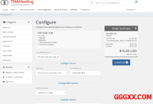 TNAHosting：美国vps仅需$12/年/2核/1GB内存/30GB SSD空间/15TB流量/1Gbps端口/KVM-高兴主机测评