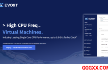 evoxt:新增印度尼西亚VPS,AMD Ryzen高性能平台,1Gbps带宽仅需$2.99/月-高兴主机测评