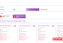 VIP Cloud：香港VPS仅需32.4元/月/1核/1GB内存/40GB SSD空间/500GB流量/300Mbps端口/KVM/香港CN2/国内直连-高兴主机测评