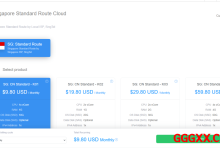 GigsGigsCloud：香港特价E3服务器4.5折循环优惠仅需$48.65/月，可选30Mbps PCCW/HKBN直连宽带或100Mbps国际宽带-高兴主机测评