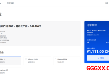 PortChannel Zero（po0）：广州BGP仅需1111元/年/2核/2GB内存/20GB SSD空间/300GB流量/100Mbps端口/独立IP/KVM/-高兴主机测评