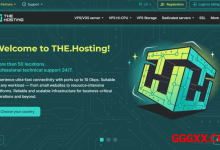 the.hosting：全场VPS低至4折，全球51个机房，10Gbps带宽不限流量-高兴主机测评