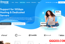 breezehost：日本/新加坡/美国/法国/德国VPS仅需$3.5/月-2G内存/1核(epyc 9004)/20gNVMe/10T流量-高兴主机测评