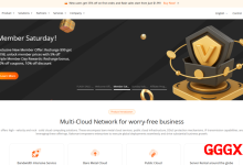 RAKsmart：西雅图爆款服务器秒杀月付$49起，5+253个多IP站群服务器月付仅需99美元，可选大陆优化或国际线路-高兴主机测评