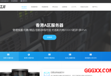 ZJI香港高配物理服务器：8折优惠仅需1120元/月，Intel 2×Platinum 8259CL /128G内存/1.92TB SSD/30Mbps@不限-高兴主机测评