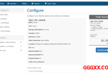 ChangeIP：海外vps仅需$1/月/256MB内存/15GB SSD空间/250GB流量/100Mbps端口/KVM/新加坡/洛杉矶/芝加哥/荷兰/德国-高兴主机测评