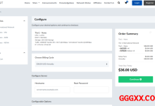FxTransit：香港VPS仅需$36/年/1GB内存/10GB SSD硬盘/1TB流量/10Gbps端口/KVM/香港/国际线路，达量后100Mbps-1Gbps不限流量-高兴主机测评
