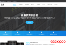 ZJI：香港葵湾物理服务器月付5折仅需320元/月，E5-2630L /16G内存/480G SSD/30Mbps@不限-高兴主机测评