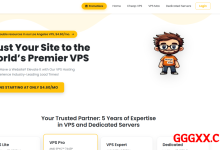 GeorgeDatacenter：洛杉矶/达拉斯VPS仅需$10.99/年/2核/4GB内存/40GB NVMe空间/2TB流量/1Gbps端口/KVM-高兴主机测评