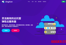 dogyun：香港VPS仅需199元/年，重庆独服机400元(2*Platinum 8259CL/128g内存/960gSSD/150M带宽)-高兴主机测评