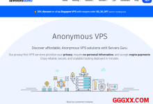 serversguru：3折促销新加坡VPS仅需€14.97/年，1G内存/1核/25gNVMe/1T流量-高兴主机测评