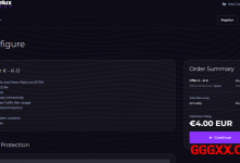 DeluxHost：荷兰VPS仅需€4/年/512MB内存/10GB SSD空间/不限流量/100Mbps-10Gbps端口/KVM/荷兰，最低款仅IPv6，其它有IPv4-高兴主机测评