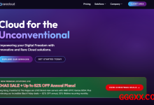 Rarecloud：香港VPS仅需$12.56/年，1核(AMD EPYC Genoa 9254)1G内存/25GB NVMe/1Gbps端口@3TB流量-高兴主机测评