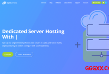 spinservers：美国独服10G带宽仅需$49，不限流量款低至$79，30分钟交付-高兴主机测评