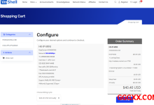 Vmshell:香港CMI仅需$40.4/年/256MB内存/8GB SSD空间/390GB流量/600Mbps端口/KVM-高兴主机测评