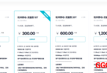 HKSPEE Network：杭州移动独立IP仅需300元/月/2核/2GB内存/10GB SSD空间/10TB流量/500Mbps端口/KVM/-高兴主机测评