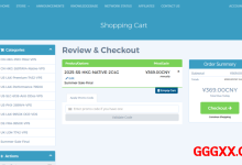 BitsFlow:香港vps仅需199元/年/2GB内存/20GB SSD空间/600GB流量/60Mbps端口/KVM/香港/国内直连-高兴主机测评