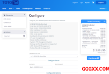 ToToTel：香港CMIN2仅需$40/年/512MB内存/10GB SSD空间/不限流量/35Mbps端口/KVM-高兴主机测评